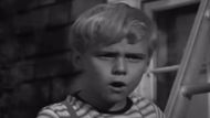 Dennis the Menace | Image Via: CBS
